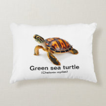 Tortuga de mar verde