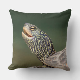 Cojín Decorativo Tortuga en el río LaChute