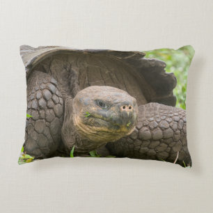 Cojín Decorativo Tortuga gigante