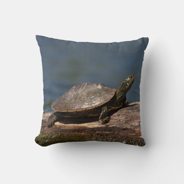 Cojín Decorativo Tortuga pintada en un tronco (Anverso)