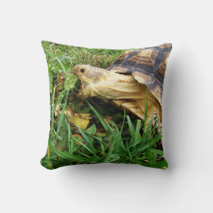 Cojín Decorativo Tortuga, Sulcata, comida africana