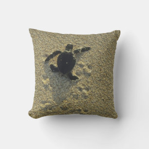 Cojín Decorativo Tortuga Verde, (Chelonia mydas), cría
