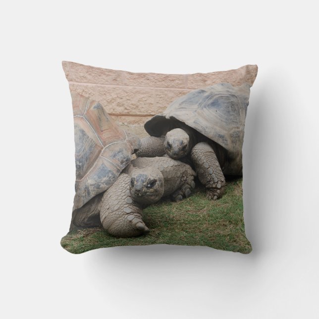 Cojín Decorativo tortugas gigantes (Anverso)