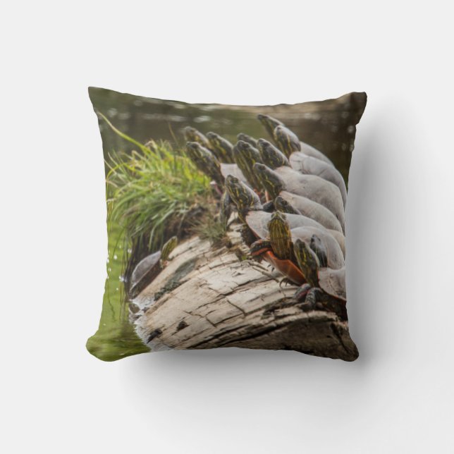 Cojín Decorativo Tortugas Pintadas Que Se Solean En Un Estanque (Anverso)