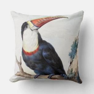 Cojín Decorativo Toucan de factura roja (1748) por Aert Schouman