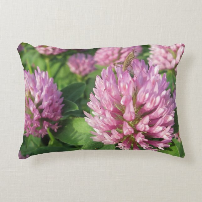Cojín Decorativo Trébol rosado y verde apacible (Anverso)