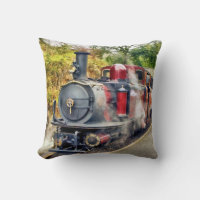 TREN DE VAPOR