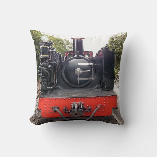 COJÍN DECORATIVO TRENES DE VAPOR (Anverso)