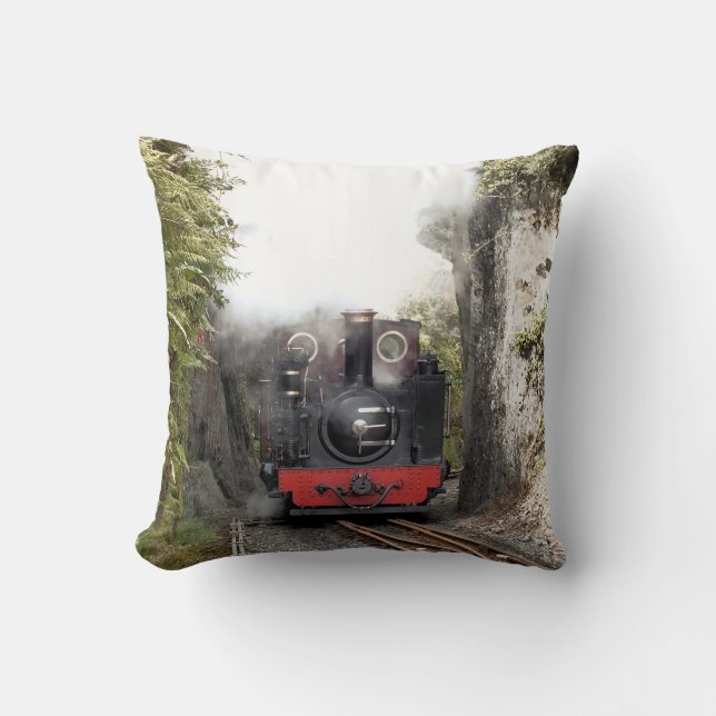 COJÍN DECORATIVO TRENES DE VAPOR (Anverso)