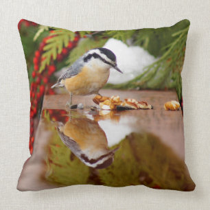 Cojín Decorativo Trepatroncos de pecho rojo