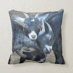 Cojín Decorativo Tres cabras divertidas en una cerradura principal