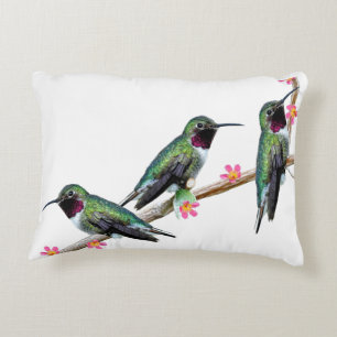 Cojín Decorativo Tres colibríes encaramados en una rama de un Floss