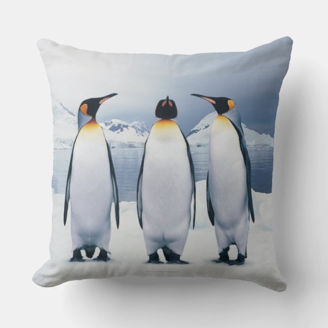 Cojín Decorativo Tres rey pingüinos (Anverso)