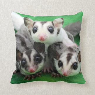 Cojín Decorativo Trío de Joey del planeador del azúcar