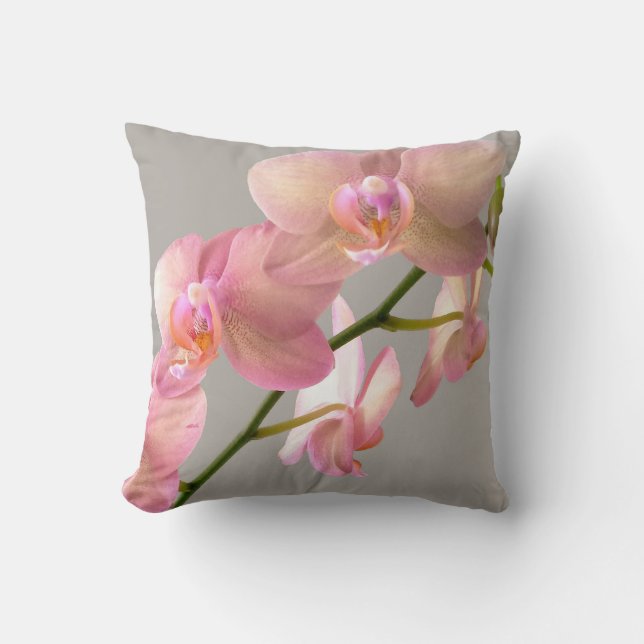 Cojín Decorativo Triple amenaza (Anverso)