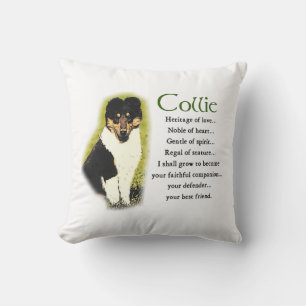 Cojín Decorativo Triturador de colores en bruto