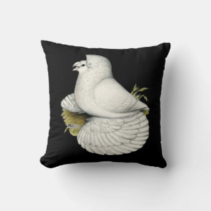 Cojín Decorativo Trumpeter Pigeon White