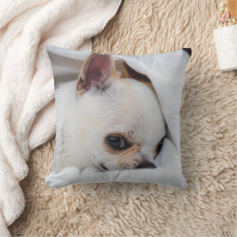 Cojín Decorativo Tu mascota perro cachorro personalizado foto chihu