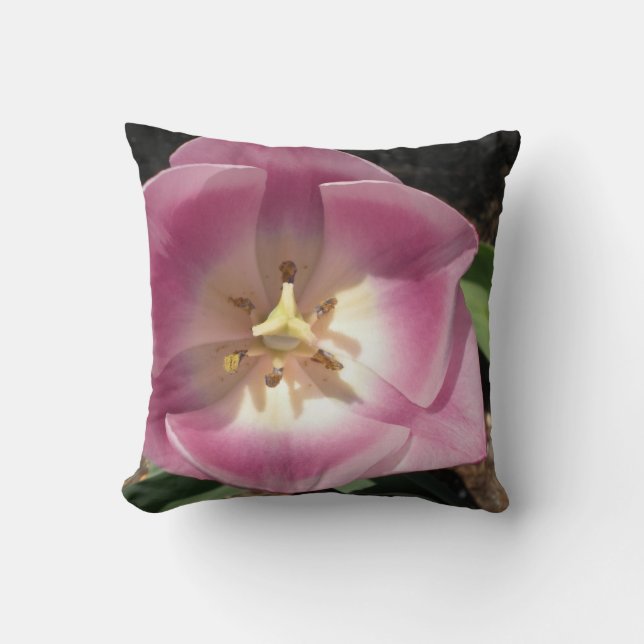 Cojín Decorativo Tulip Burst ~pillow (Anverso)