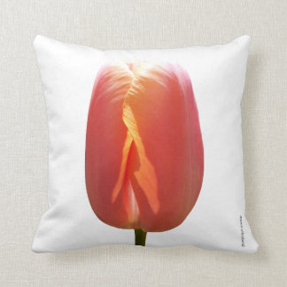 Cojín Decorativo Tulipán rojo