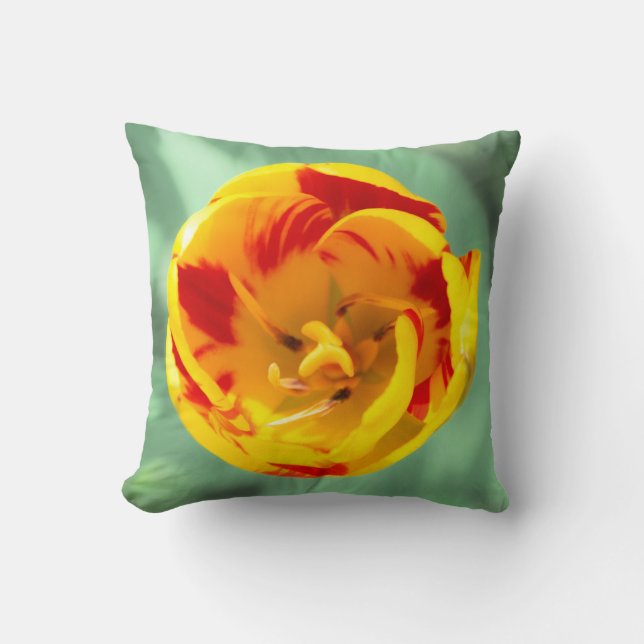 Cojín Decorativo Tulipán rojo amarillo, (Anverso)