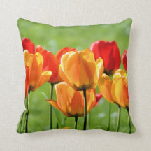 Tulipanes Amarillos Y Rojos