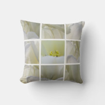Tulipanes Blancos al Cuadrado - Fotografía de Arte