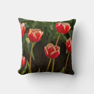 Cojín Decorativo Tulipanes, Festival de Tulipanes, Woodburn, Oregon