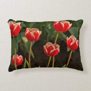 Cojín Decorativo Tulipanes, Festival de Tulipanes, Woodburn, Oregon