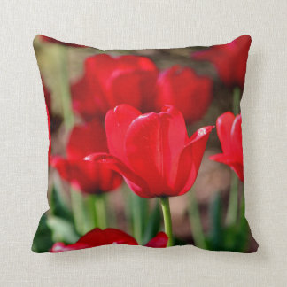 Cojín Decorativo Tulipanes rojos