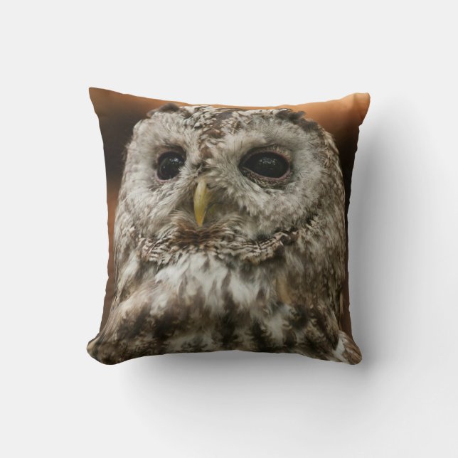 Cojín Decorativo Twany Owl Cushion (Anverso)