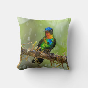 Cojín Decorativo Un colibrí de garganta ígnea en el bosque nuboso