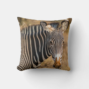 COJÍN DECORATIVO UN CURIOSO ZEBRA EN LA RESERVA NACIONAL DE SAMBURU