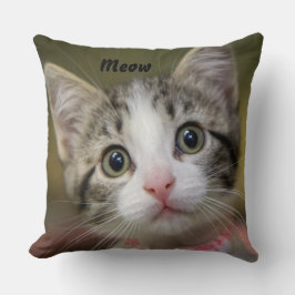 Cojín Decorativo Un gatito lindo con ojos verdes