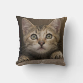 Cojín Decorativo Un gatito muy dulce del Tabby