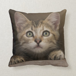 Cojín Decorativo Un gatito muy dulce del Tabby