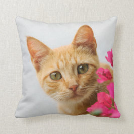 Cojín Decorativo Un gatito rojo lindo del tabby le está mirando