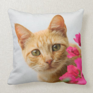 Cojín Decorativo Un gatito rojo lindo del tabby le está mirando