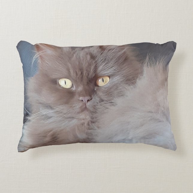 Cojín Decorativo Un gato mimado (Anverso)
