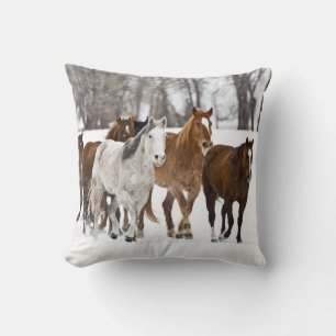 Cojín Decorativo Un paisaje invernal de carrera