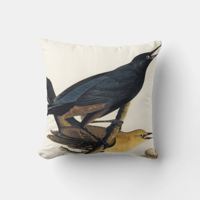 Cojín Decorativo Un par de Grackles Barco-Atado (Anverso)