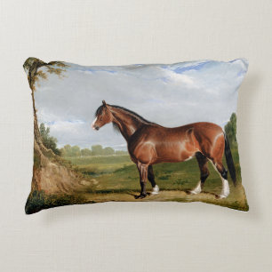 Cojín Decorativo Un semental Clydesdale
