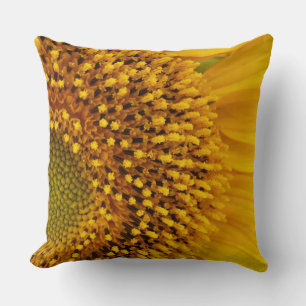 Cojín Decorativo un semicírculo