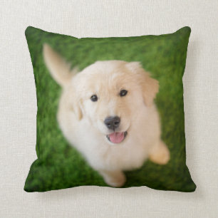 Cojín Decorativo Una cachorro dorada en el césped