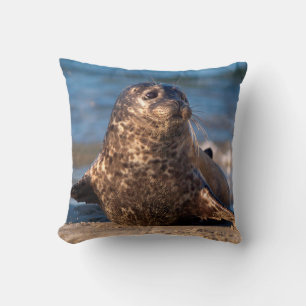 Cojín Decorativo Una cría de foca llegando a tierra en Children's P
