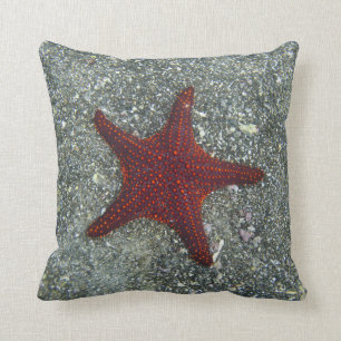 Cojín Decorativo Una estrella de mar roja el las Islas Galápagos