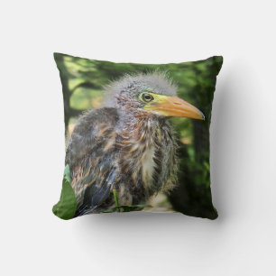Cojín Decorativo Una garza verde