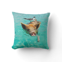 Una gaviota y un cerdo