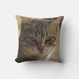 Cojín Decorativo Una imagen de la cara de un gato serio en un color