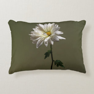Cojín Decorativo Una margarita blanca